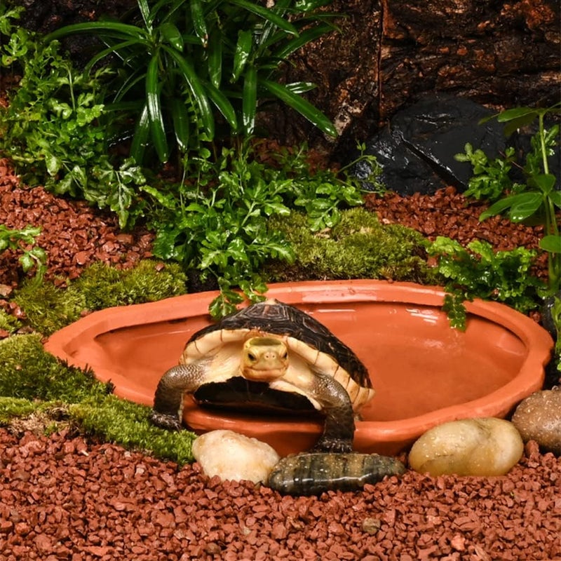 Flushbay Extra Large Reptile Bathing Pool Tortoise Bathing Pool Reptile Feeding Dish Water Bath Bowl Aquarium Ornament for Gecko, Snake, Turtle, Bearded Dragon, Lizard Bath (Red Pottery) - Image 3